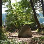 A rock in the park | Photo of the day 8.31