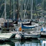 Sun-soaked sailboats | Photo of the day 9.2