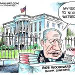 Trump’s 85th week in office | In cartoons