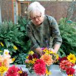 A blooming masterpiece | Photo of the day 9.6