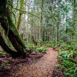 Bainbridge Island Parks Foundation hosts Trails Open House