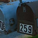 Harvest Fair thanks its volunteers, visitors | Letter to the editor