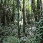 Let the sunshine in | Photo of the day 9.16