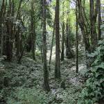 Let the sunshine in | Photo of the day 9.16