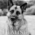 Healing justice: Island author launches latest pet-centric novel