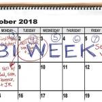 Trump’s 89th week in office | In cartoons