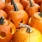 A boo-tiful lineup: Halloween happenings round the Rock