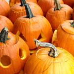 A boo-tiful lineup: Halloween happenings round the Rock