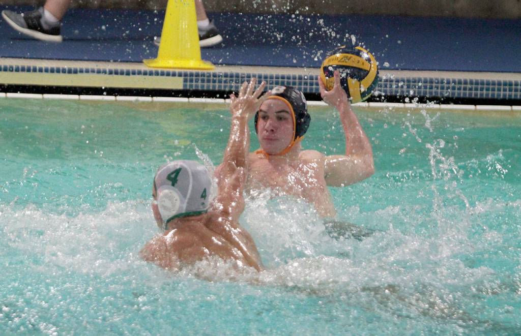 BHS boys water polo team bests Rough Riders | Photo gallery