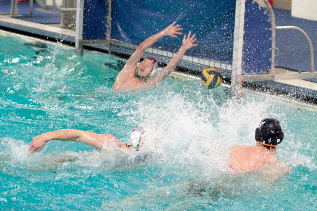 BHS boys water polo team bests Rough Riders | Photo gallery