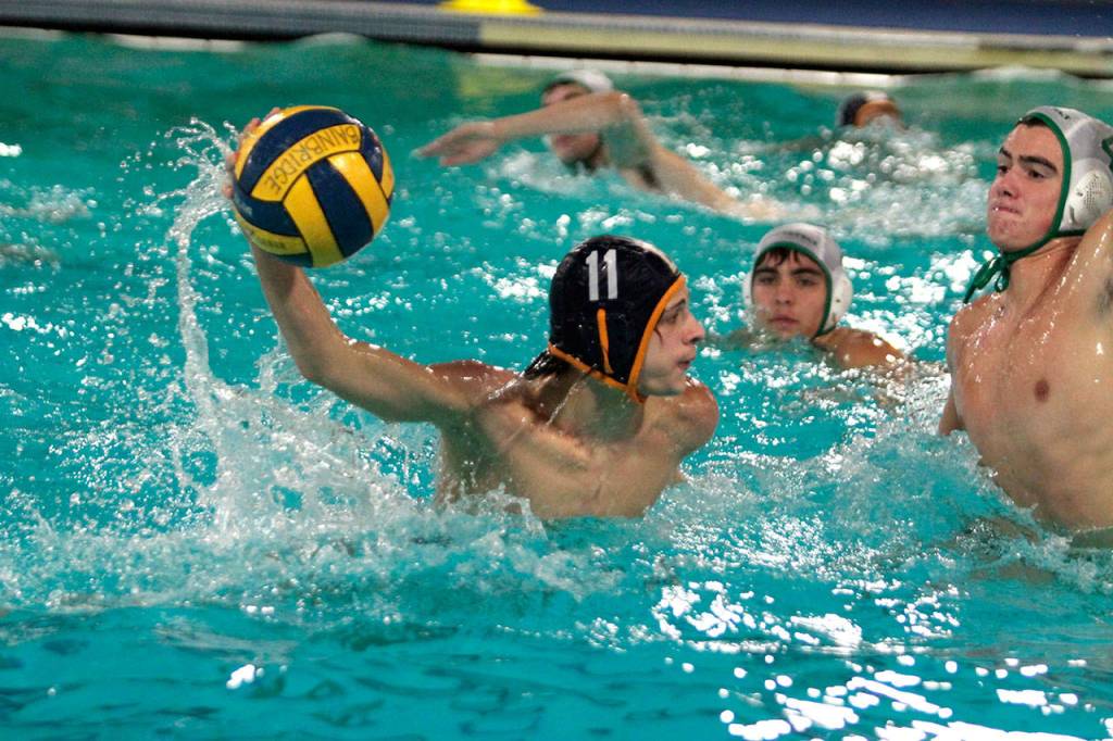 BHS boys water polo team bests Rough Riders | Photo gallery