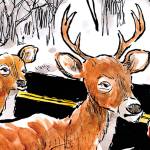 Today’s cartoon for Monday, Nov. 19