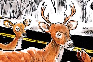 Today’s cartoon for Monday, Nov. 19