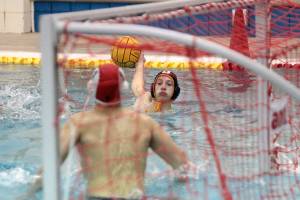 A fine finale: Spartans cap stellar season as second in state in boys water polo