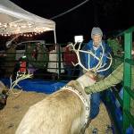 Winter Wonderland returns to Waterfront Park