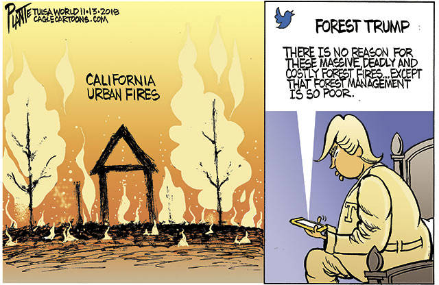 Trump’s 95th week in office | In cartoons