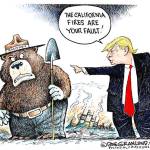 Trump’s 96th week in office | In cartoons
