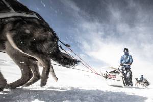 BHS grad seeks support to conquer Arctic sled race