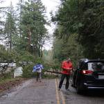 Bainbridge blackout | Photo gallery