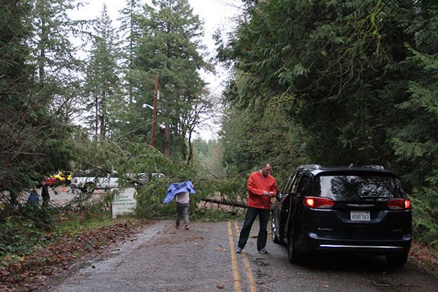Bainbridge blackout | Photo gallery