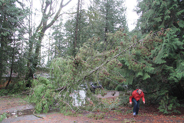 Bainbridge blackout | Photo gallery