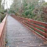 Photo courtesy of the city of Bainbridge Island                                The pedestrian bridge on Bainbridges Waterfront Trail.