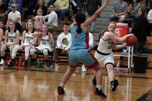 Island girls send Seahawks home with loss in varsity basketball | Photo gallery
