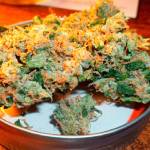 Medical marijuana could be allowed on school grounds | 2019 Legislative Session