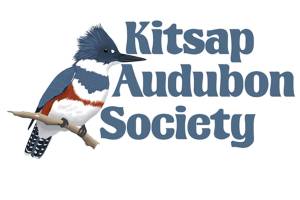 Deadline nears for Kitsap Audubon scholarship applications