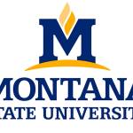 Islanders are standout scholars at MSU