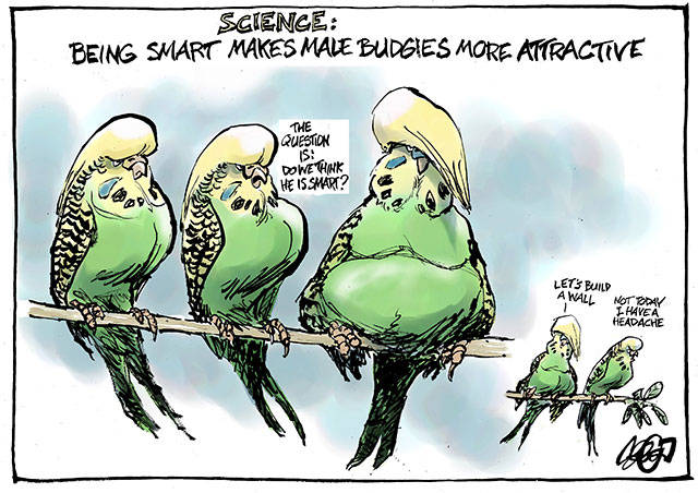 Trump’s 103rd week in office | In cartoons