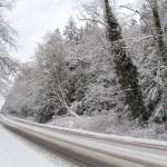 Highway 305 is empty of traffic Saturday afternoon near Seabold. (Brian Kelly | Bainbridge Island Review)