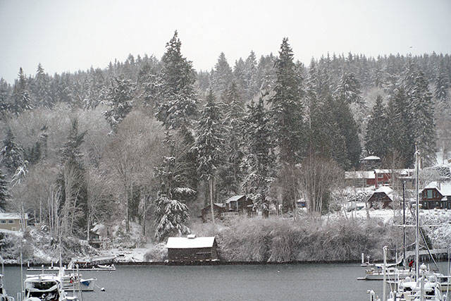 Bainbridge in white: Winter storm 2019 | Photo gallery
