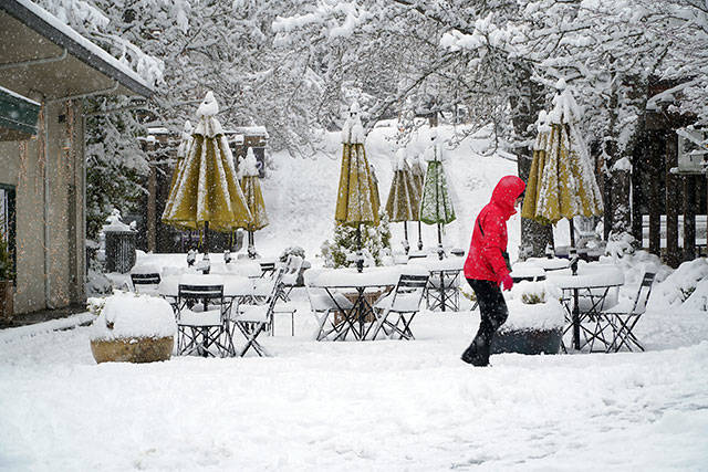 Bainbridge in white: Winter storm 2019 | Photo gallery