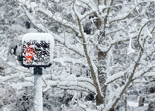 Bainbridge in white: Winter storm 2019 | Photo gallery