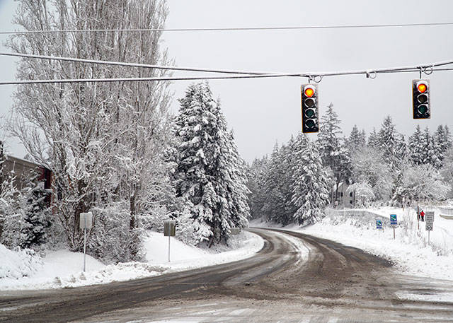 Bainbridge in white: Winter storm 2019 | Photo gallery