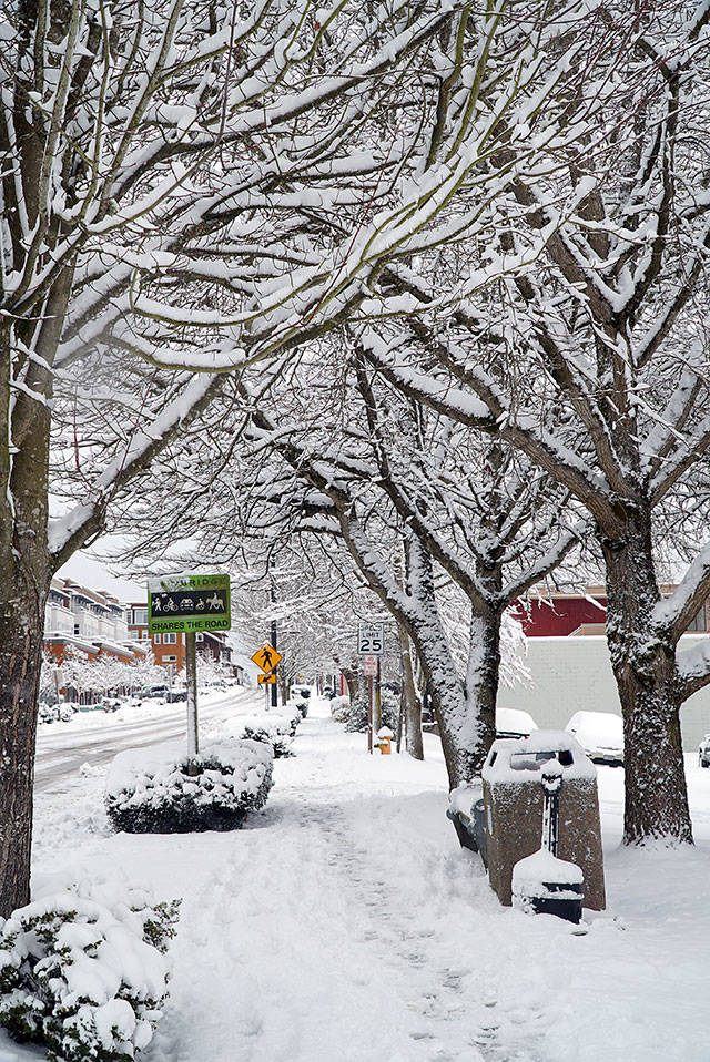 Bainbridge in white: Winter storm 2019 | Photo gallery