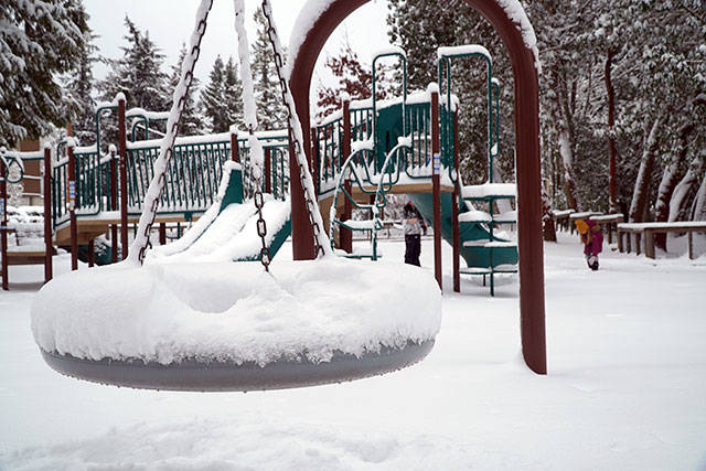 Bainbridge in white: Winter storm 2019 | Photo gallery