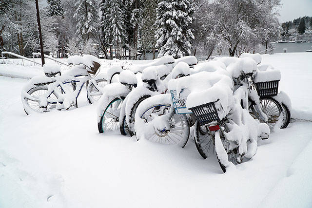 Bainbridge in white: Winter storm 2019 | Photo gallery