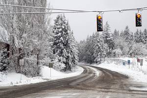 SNOW AND TELL: Bainbridge buried in biggest snow in a generation