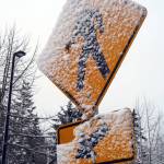 Mo’ snow: Photos of the final days of ‘Snowmageddon’ on BI | Photo gallery