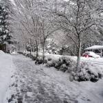 Mo’ snow: Photos of the final days of ‘Snowmageddon’ on BI | Photo gallery