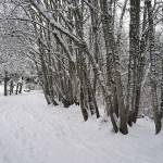 Mo’ snow: Photos of the final days of ‘Snowmageddon’ on BI | Photo gallery