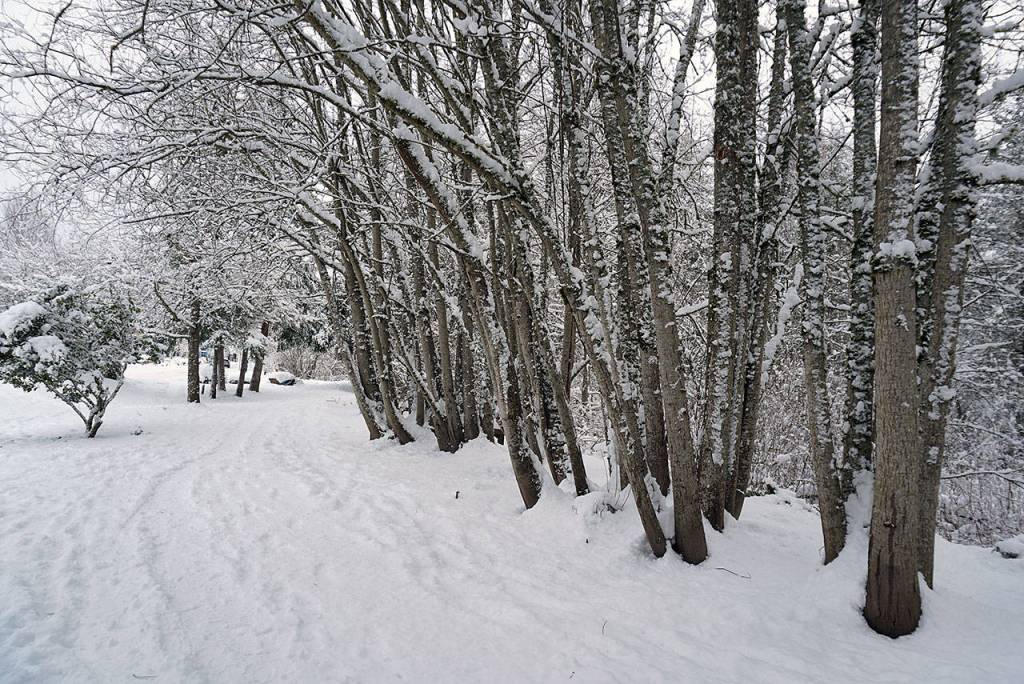 Mo’ snow: Photos of the final days of ‘Snowmageddon’ on BI | Photo gallery