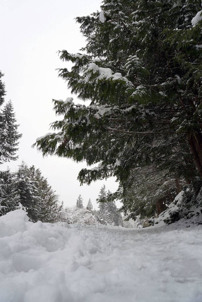 Mo’ snow: Photos of the final days of ‘Snowmageddon’ on BI | Photo gallery