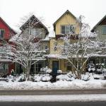 Mo’ snow: Photos of the final days of ‘Snowmageddon’ on BI | Photo gallery