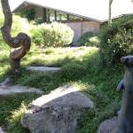 Workshop will share rain garden tips