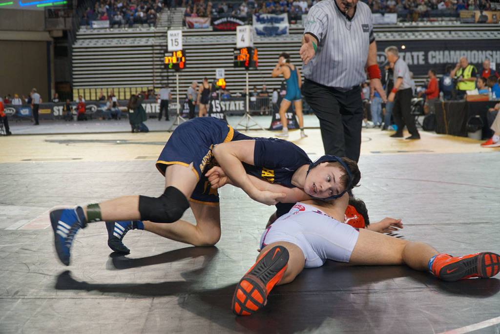 Mat moments: Scenes from the 2019 state wrestling tourney - Part 1 | Photo gallery