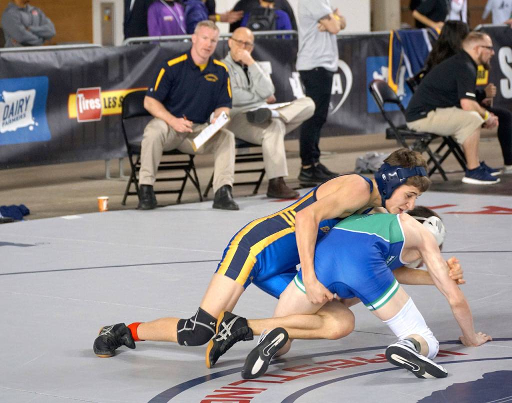 Mat moments: Scenes from the 2019 state wrestling tourney - Part 1 | Photo gallery