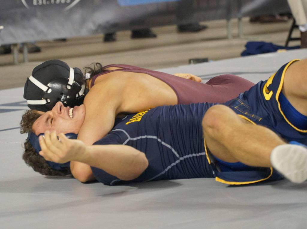 Mat moments: Scenes from the 2019 state wrestling tourney - Part 1 | Photo gallery